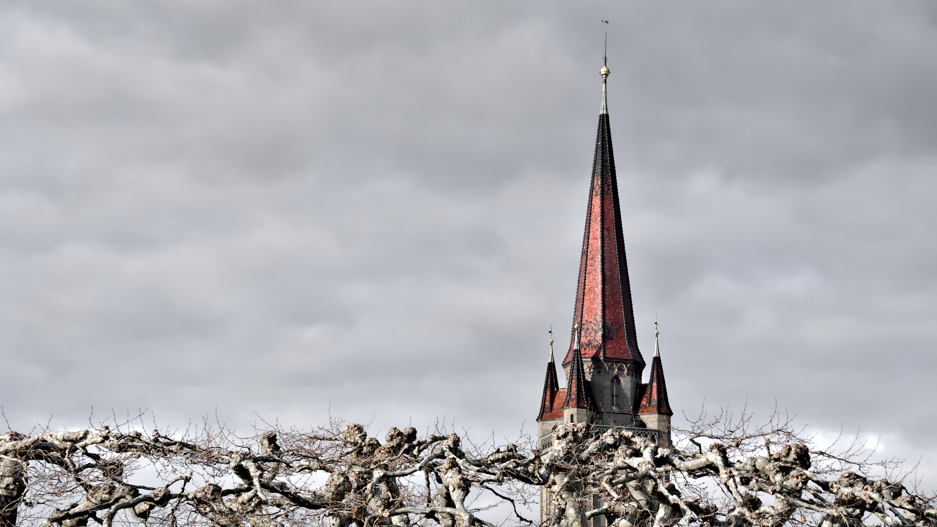 Turm über Platanen