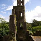Turm vom Blarney Castle