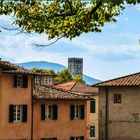 Turm von San Frediano