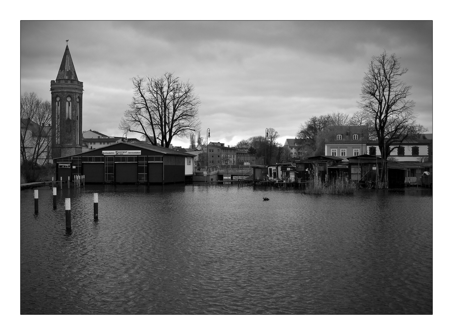 turm, wasser, bäume