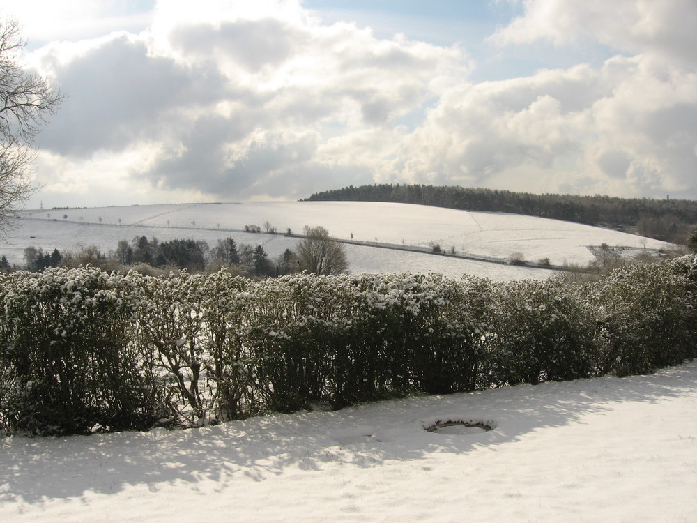 Turmblick im Schnee