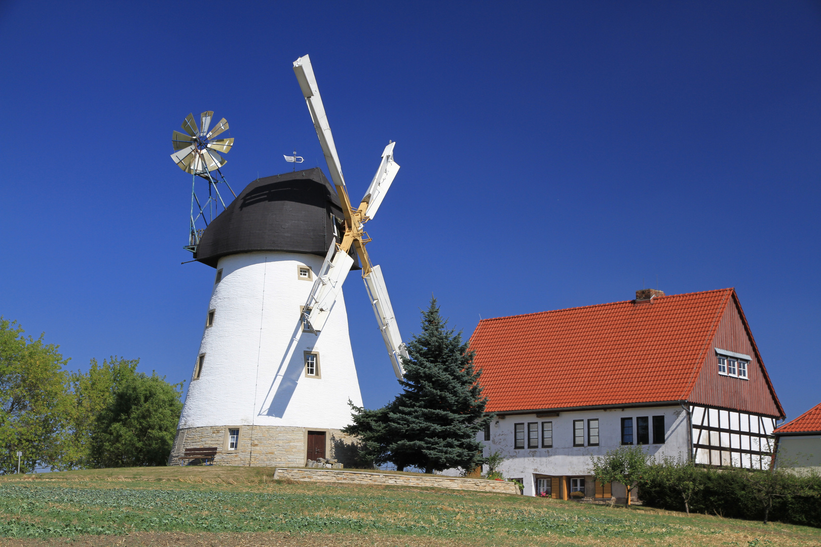 Turmholländerwindmühle