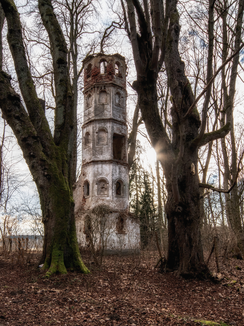 Turmruine im Wald