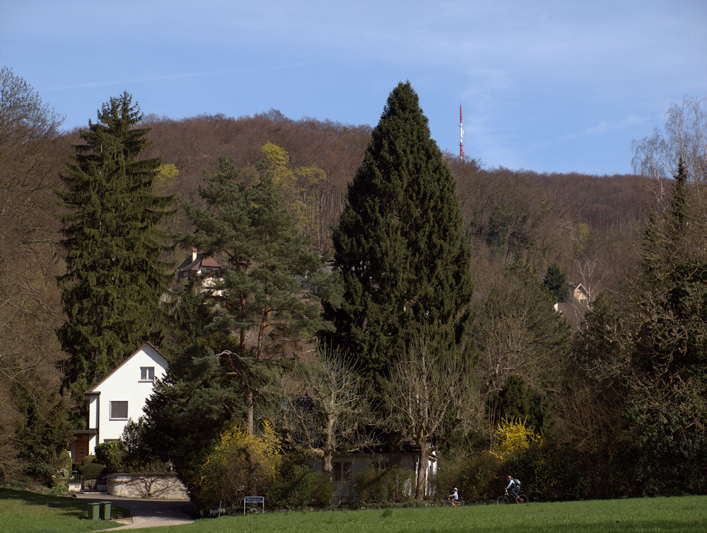 Turmspitze St. Chrischona