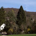 Turmspitze St. Chrischona