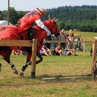 Turnier der Lanzenritter usw. auf der Alten Heide (57258 Freudenberg) 11