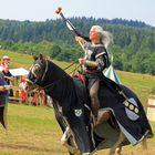 Turnier der Lanzenritter usw. auf der Alten Heide (57258 Freudenberg) 7