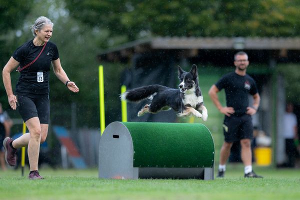 Turnierhundesport geht immer