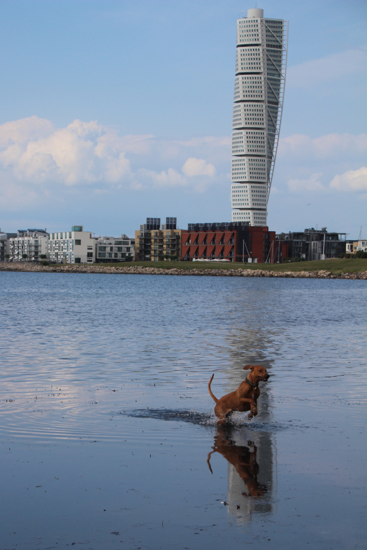 Turning Torso!