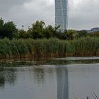 Turning Torso refelected