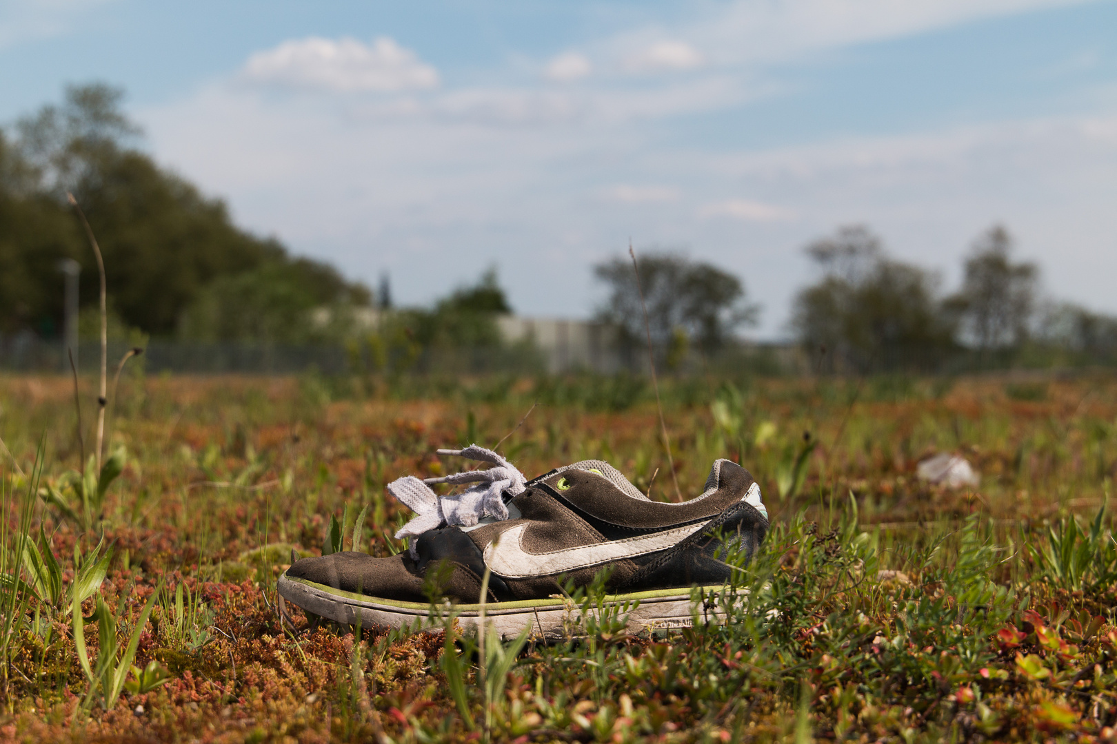 Turnschuh auf Wiese