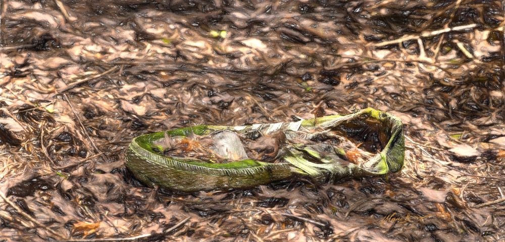 Turnschuh im Wald als Gemälde