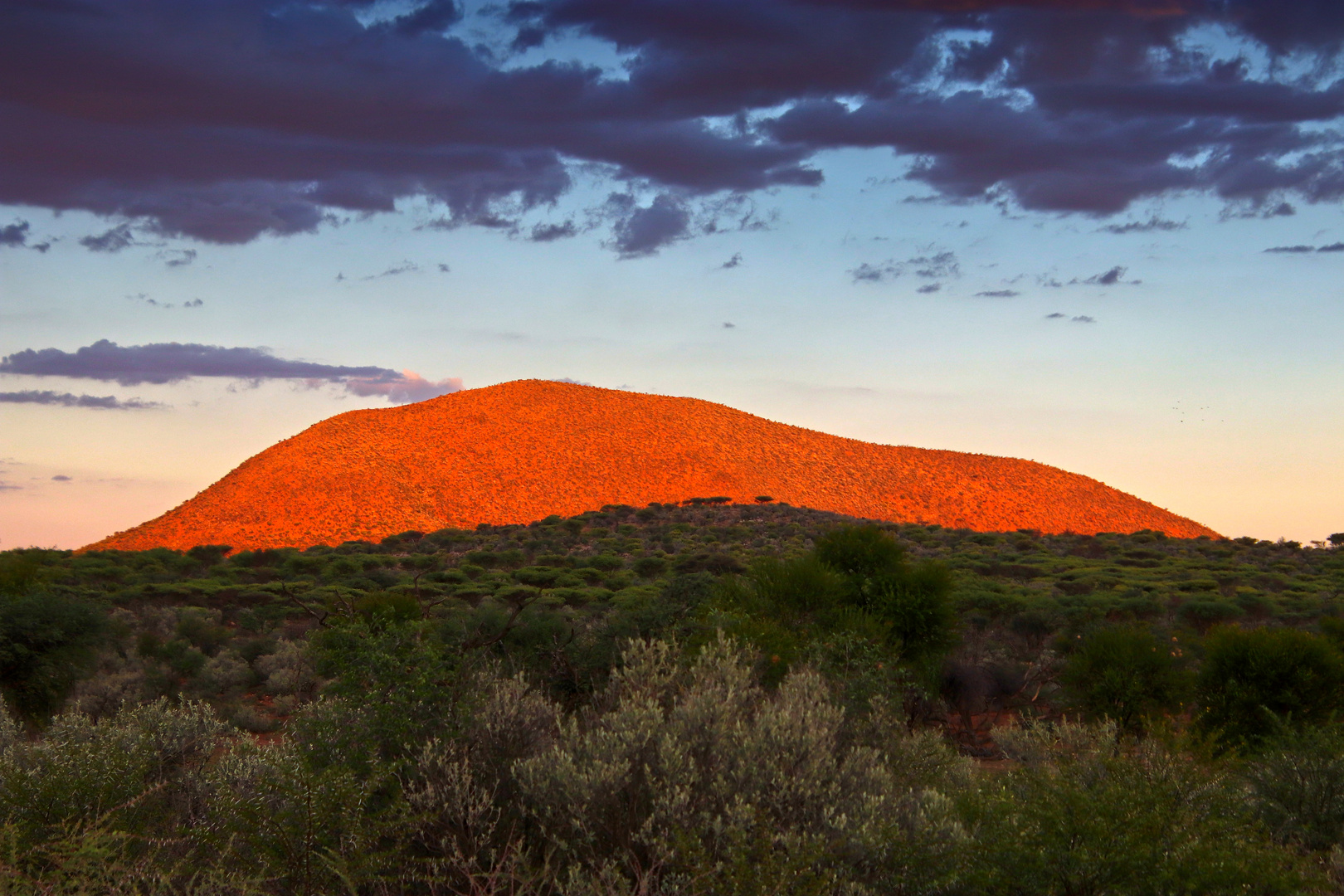 Turtel Mountain 