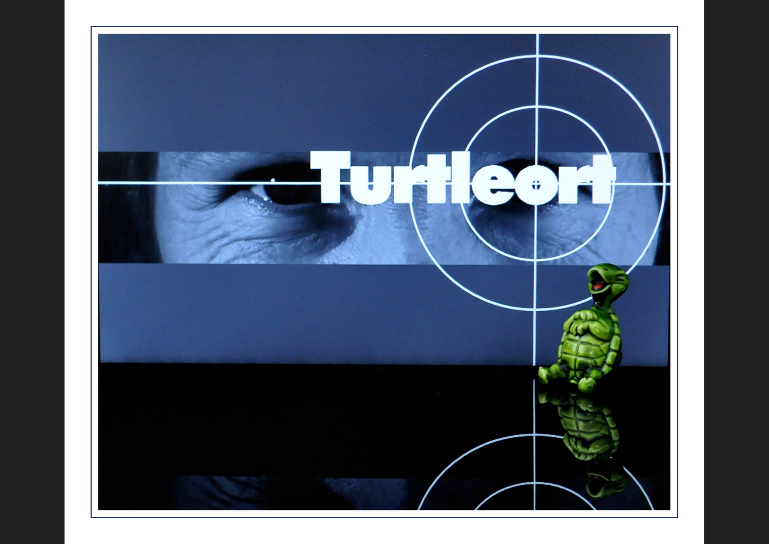 Turtle-Tatort