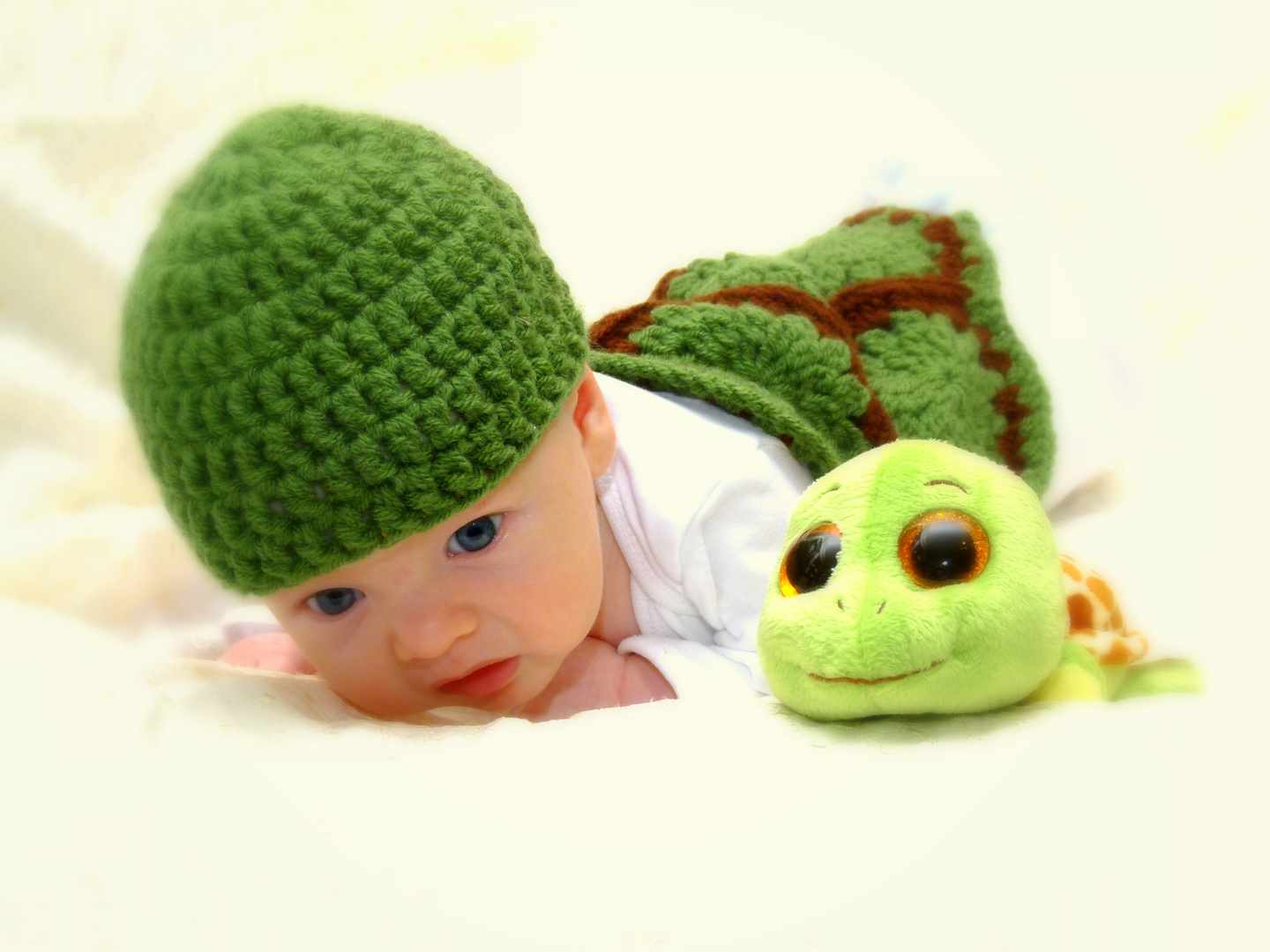 Turtles Baby Fotoshooting