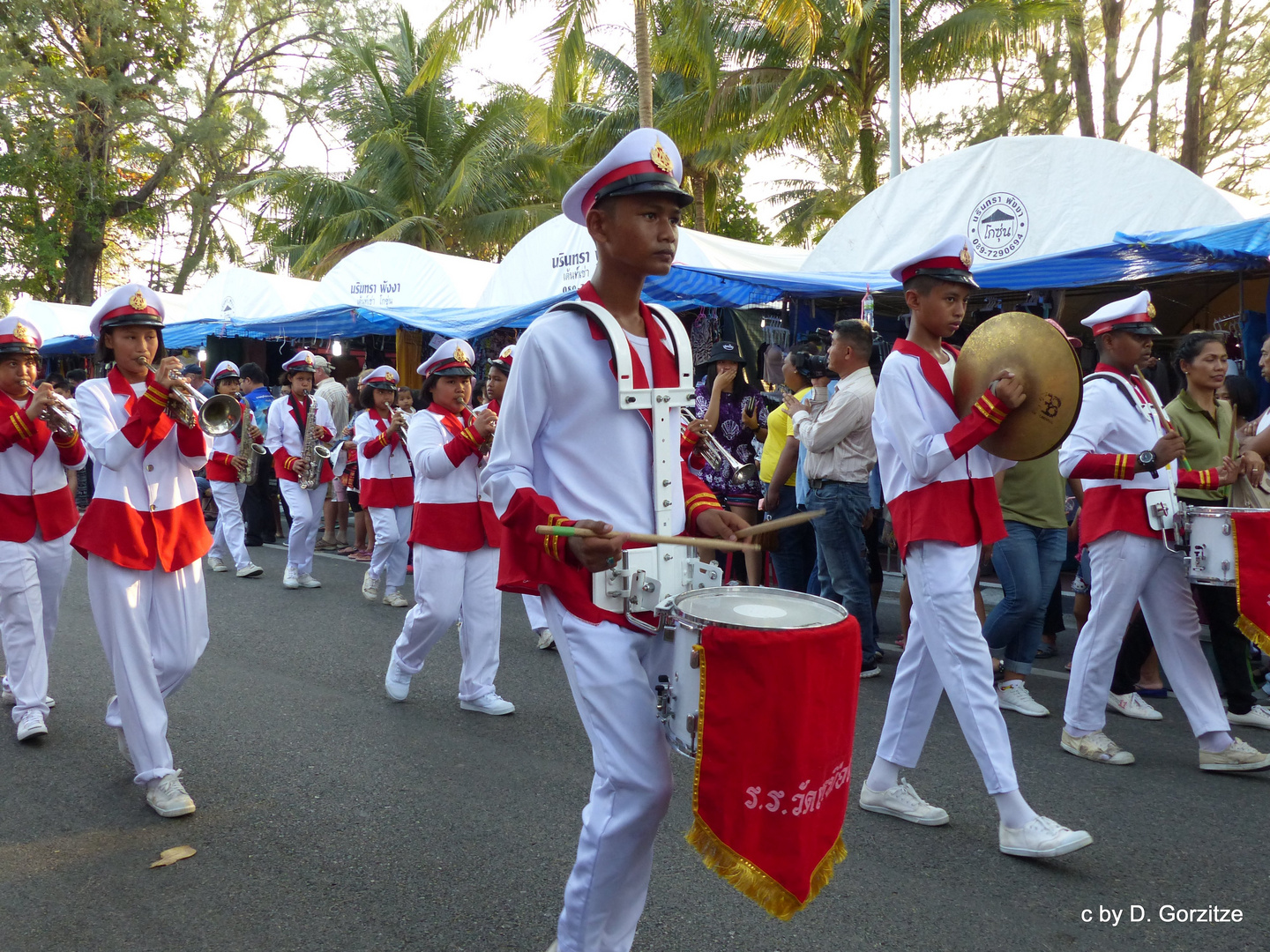 Turtles Festival in Thai Muang !