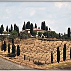 Tuscan Countryside