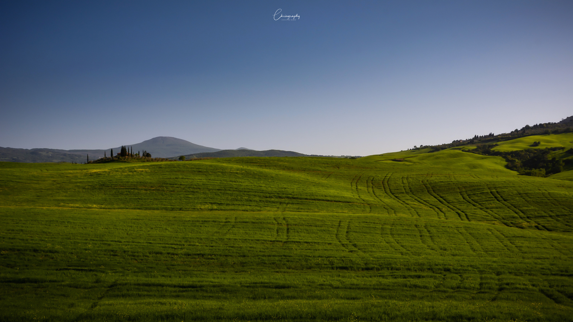 Tuscan Hills