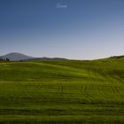 Tuscan Hills