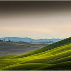 Tuscan Hills