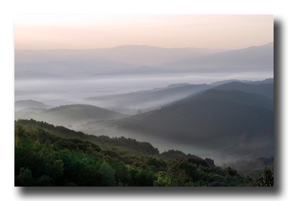 Tuscan hills in a summer sunrise