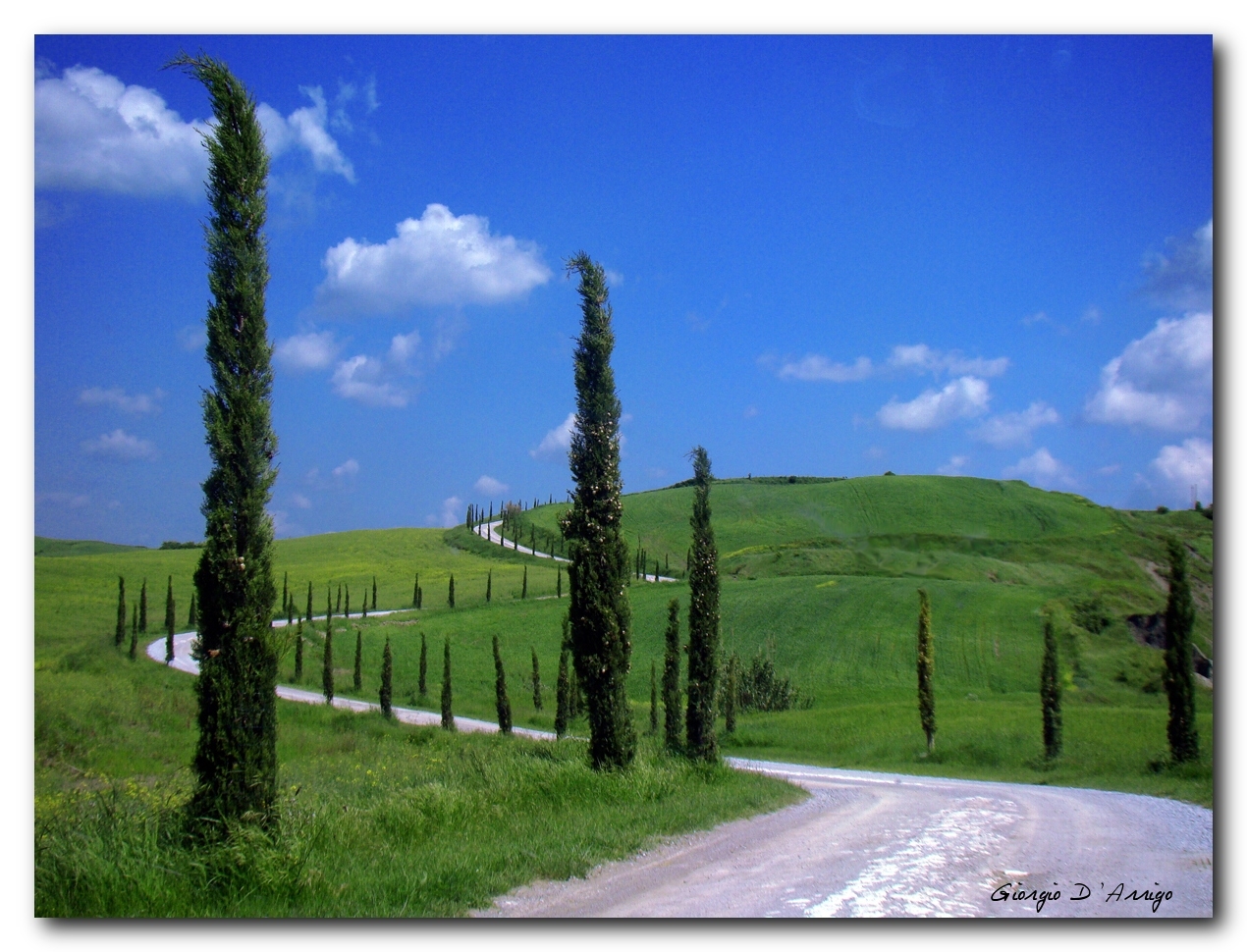 Tuscan landscape