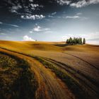 Tuscan Landscape