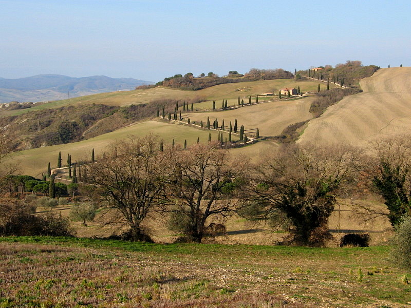 Tuscan Landscape