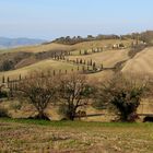 Tuscan Landscape