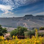 Tuscan landscape.