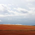 Tuscan landscapes