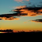 tuscan light