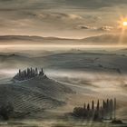 Tuscan Morning