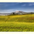 tuscan spring