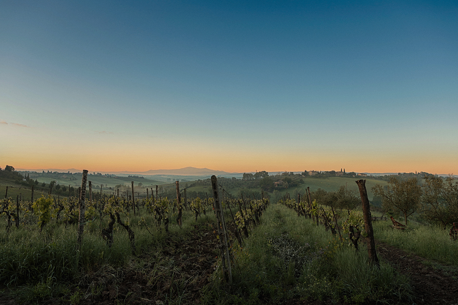 - tuscan story -