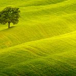 Tuscan Waves