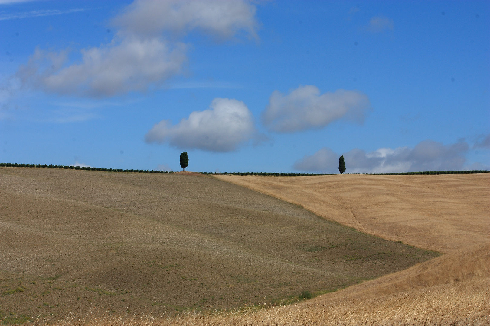 Tuscania