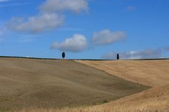 Tuscania