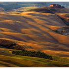 Tuscany #074 "Toskana best light"