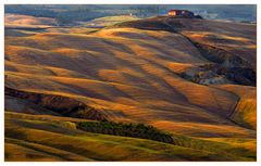 Tuscany #074 "Toskana best light"