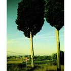 Tuscany #1