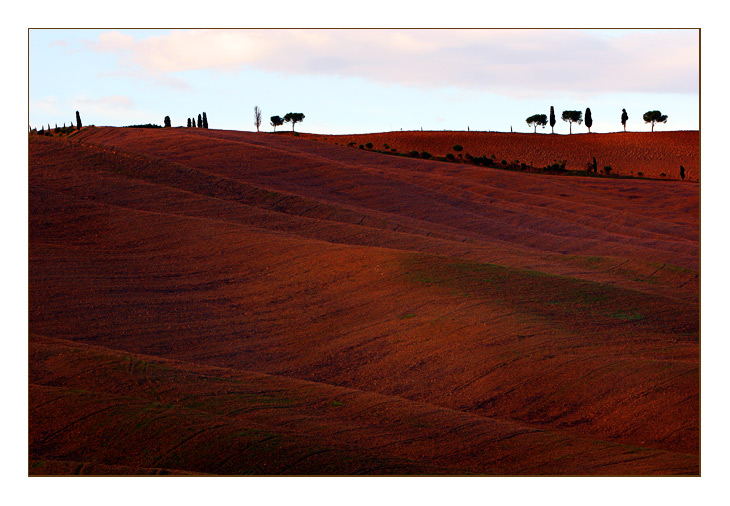 tuscany #354