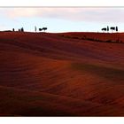 tuscany #354