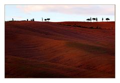 tuscany #354