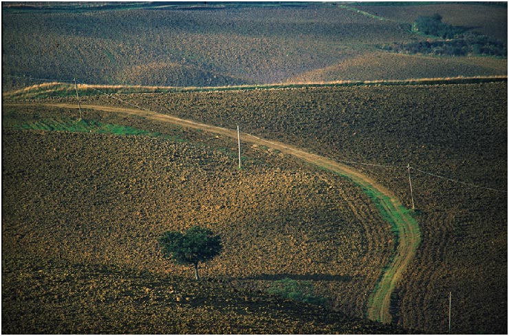 tuscany #8017 "Toskana Hügel after harvest"