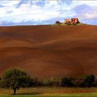 tuscany #8018a "Tuscany landscape V"