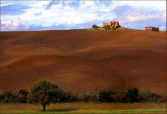 tuscany #8018a "Tuscany landscape V"