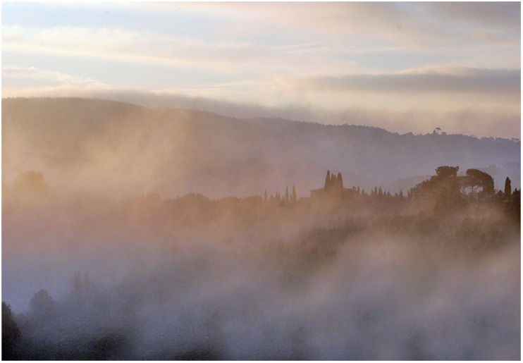 tuscany #8019 "Tuscany wake up in La Bruciata"