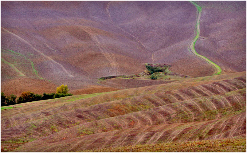 tuscany #8022 "Tuscany hills VIII"