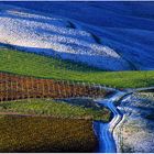 tuscany #8024 "Tuscany vineyards"